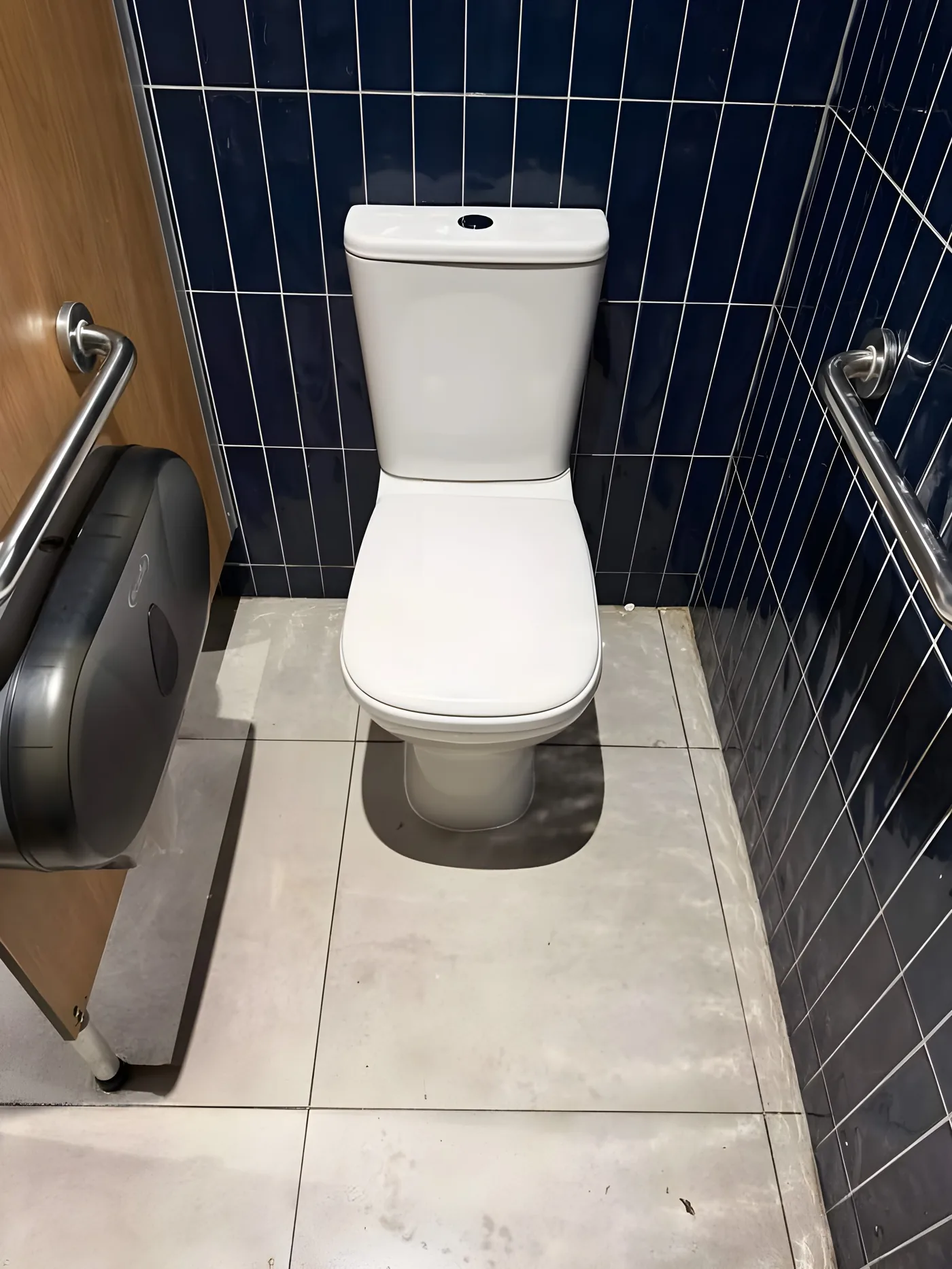 Finished toilet fit-off in a bathroom with navy tiles